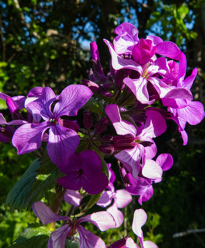 13891817217_b5df5d440f