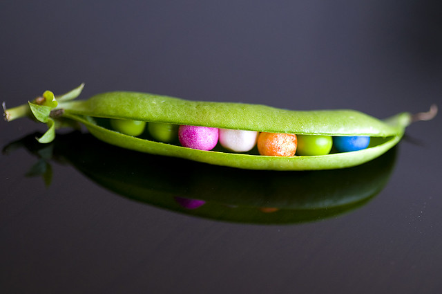 4334413228_6d7c35c38d_z