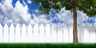 Neighbourhood dispute 1